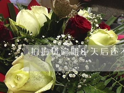 拍拍贷逾期8天后还不上 拍拍贷逾期8天后还不上