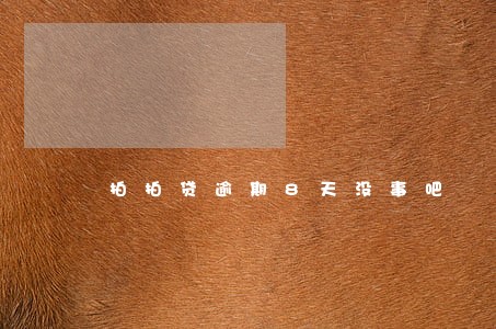 拍拍贷逾期8天没事吧 拍拍贷逾期8天没事吧