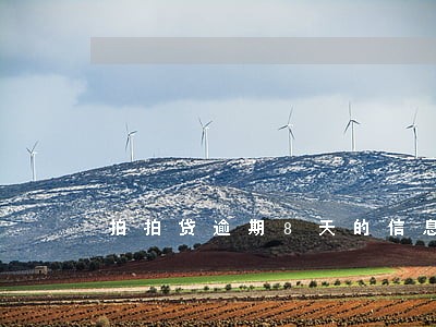 拍拍贷逾期8天的信息 拍拍贷逾期8天的信息