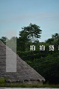 拍拍贷逾期8天还不上 拍拍贷逾期8天还不上