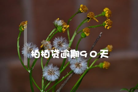拍拍贷逾期90天 拍拍贷逾期90天
