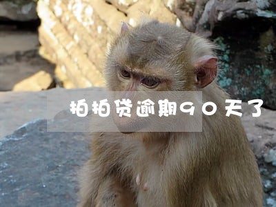 拍拍贷逾期90天了 拍拍贷逾期90天了