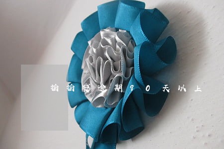 拍拍贷逾期90天以上