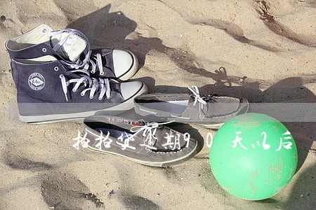 拍拍贷逾期90天以后