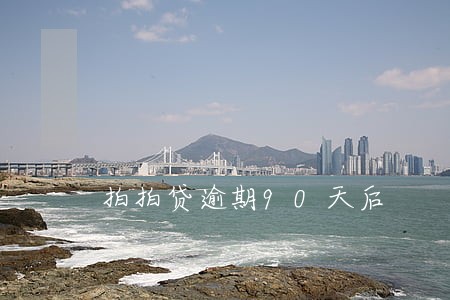 拍拍贷逾期90天后 拍拍贷逾期90天后