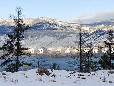 拍拍贷逾期9天催款怎么办 拍拍贷逾期9天催款怎么办