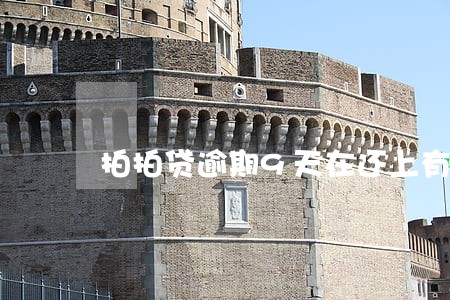 拍拍贷逾期9天在还上有影响吗 拍拍贷逾期9天在还上有影响吗
