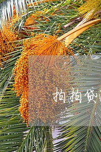 拍拍贷逾期一天2021