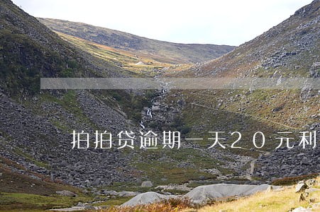 拍拍贷逾期一天20元利息 拍拍贷逾期一天20元利息