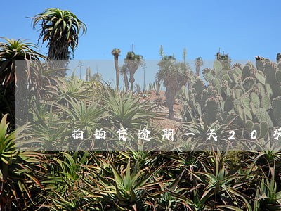 拍拍贷逾期一天20块钱逾期费 拍拍贷逾期一天20块钱逾期费