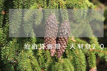 拍拍贷逾期一天利息20多 拍拍贷逾期一天利息20多
