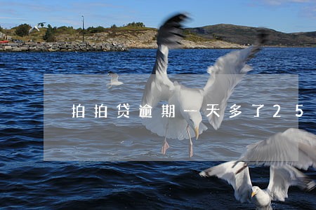 拍拍贷逾期一天多了25 拍拍贷逾期一天多了25