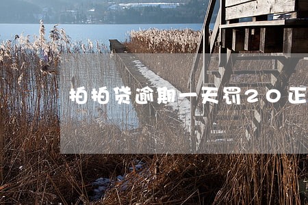 拍拍贷逾期一天罚20正常吗