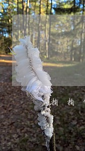 拍拍贷逾期一天罚息35 拍拍贷逾期一天罚息35