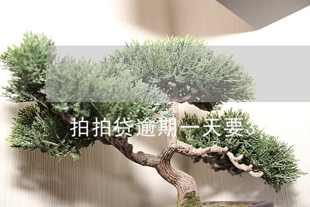 拍拍贷逾期一天要30多块钱 拍拍贷逾期一天要30多块钱