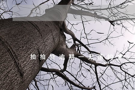 拍拍贷逾期一天违约金50 拍拍贷逾期一天违约金50