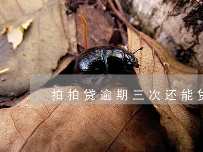 拍拍贷逾期三次还能贷款吗 拍拍贷逾期三次还能贷款吗