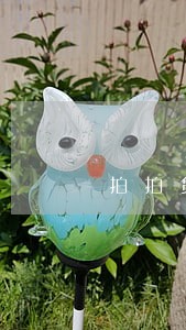 拍拍贷逾期三次都不超过15天 拍拍贷逾期三次都不超过15天