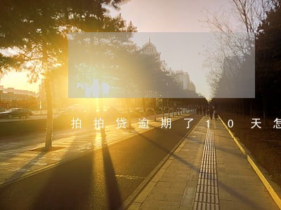 拍拍贷逾期了10天怎么算利息 拍拍贷逾期了10天怎么算利息
