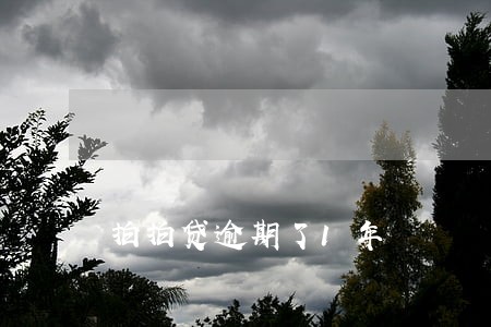 拍拍贷逾期了1年 拍拍贷逾期了1年