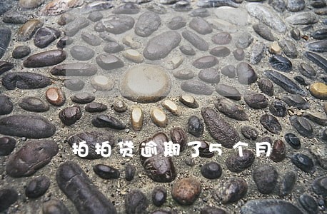 拍拍贷逾期了5个月 拍拍贷逾期了5个月