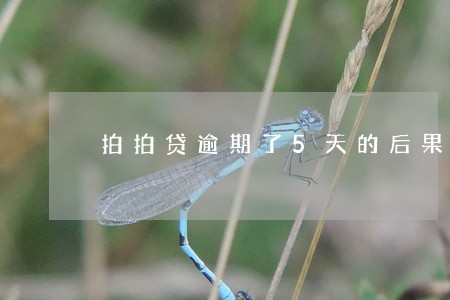 拍拍贷逾期了5天的后果 拍拍贷逾期了5天的后果
