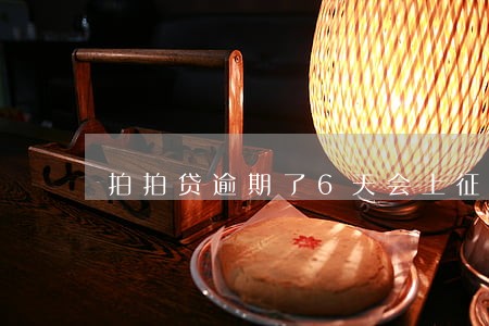 拍拍贷逾期了6天会上征信嘛 拍拍贷逾期了6天会上征信嘛