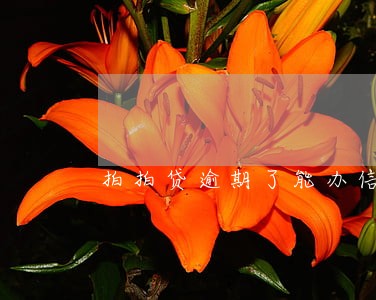 拍拍贷逾期了能办信用卡么 拍拍贷逾期了能办信用卡么