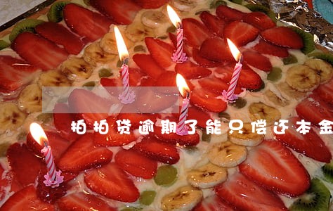 拍拍贷逾期了能只偿还本金吗 拍拍贷逾期了能只偿还本金吗