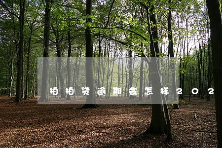 拍拍贷逾期会怎样2020 拍拍贷逾期会怎样2020