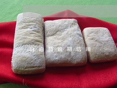 拍拍贷逾期信用 拍拍贷逾期信用