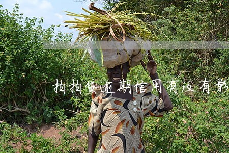 拍拍贷逾期信用有没有影响 拍拍贷逾期信用有没有影响