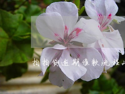 拍拍贷逾期催款流程2020 拍拍贷逾期催款流程2020