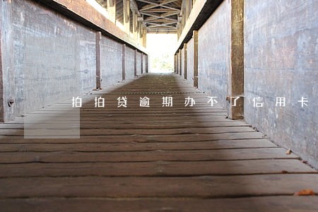 拍拍贷逾期办不了信用卡 拍拍贷逾期办不了信用卡