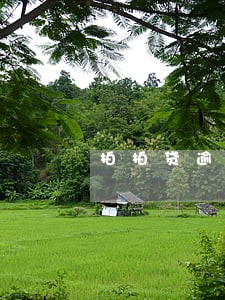 拍拍贷逾期协商只还本金 拍拍贷逾期协商只还本金