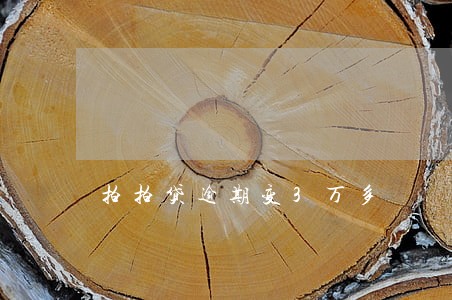 拍拍贷逾期变3万多 拍拍贷逾期变3万多