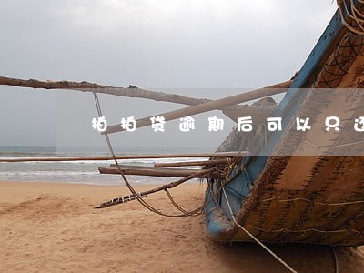拍拍贷逾期后可以只还本金吗 拍拍贷逾期后可以只还本金吗