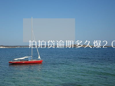 拍拍贷逾期多久爆2019