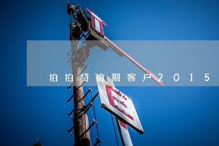 拍拍贷逾期客户2015 拍拍贷逾期客户2015