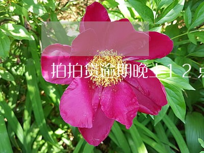 拍拍贷逾期晚上12点打电话 拍拍贷逾期晚上12点打电话