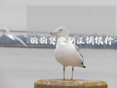 拍拍贷逾期注销银行卡 拍拍贷逾期注销银行卡
