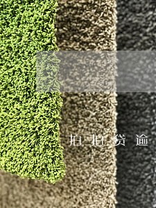 拍拍贷逾期第6天 拍拍贷逾期第6天