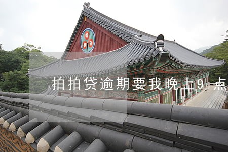 拍拍贷逾期要我晚上9点必须还 拍拍贷逾期要我晚上9点必须还
