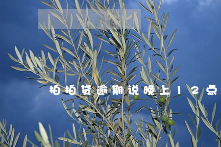 拍拍贷逾期说晚上12点还款 拍拍贷逾期说晚上12点还款