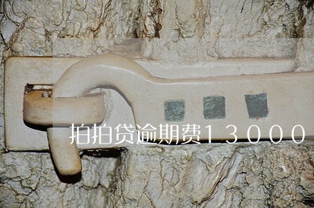 拍拍贷逾期费13000