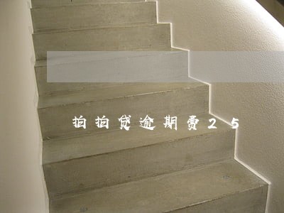 拍拍贷逾期费25 拍拍贷逾期费25