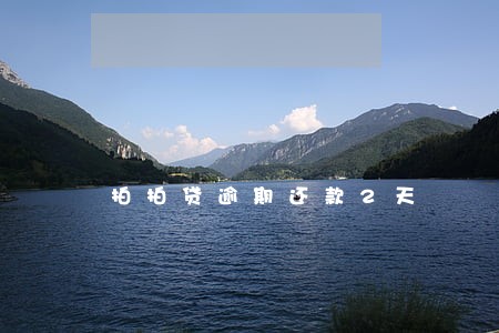 拍拍贷逾期还款2天 拍拍贷逾期还款2天