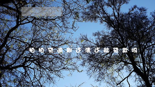 拍拍贷逾期还清还能贷款吗 拍拍贷逾期还清还能贷款吗
