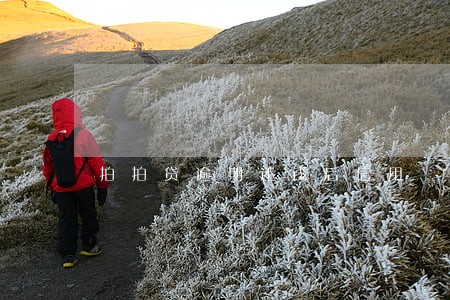 拍拍贷逾期还钱后信用