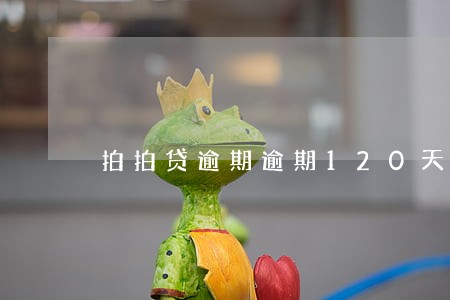 拍拍贷逾期逾期120天 拍拍贷逾期逾期120天